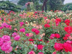 -国家植物园南园