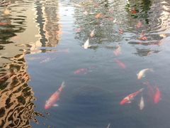 外景-广州花园酒店