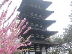 -北京世界公园
