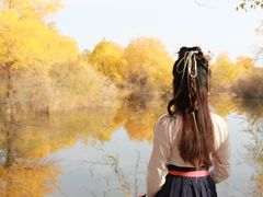 -金塔沙漠胡杨林景区