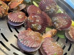 -苏大嘴蒸汽海鲜·海胆蒸饺(中山广场店)