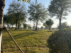 -鹦鹉洲湿地公园