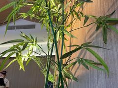 -小菜园新徽菜(无锡宜家荟聚中心店)