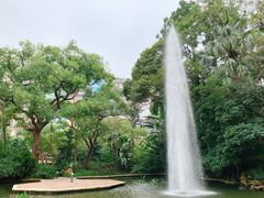 -九龙公园