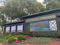 -合肥滨湖国家森林公园