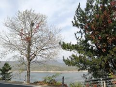 -白河堡水库