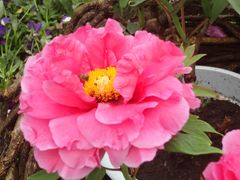 -华南国家植物园-售票处