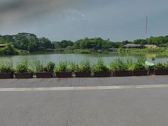 -福田红树林生态公园