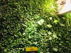 -外婆家(杭州马塍店·杭帮菜名店)