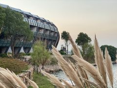 -上海滴水湖皇冠假日酒店