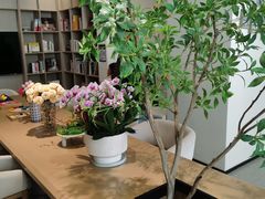 -上海浦东由由信福养老院