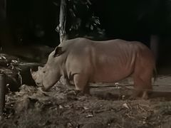 -清迈夜间动物园