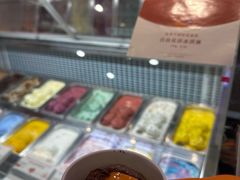 -iceason爱茜茜里·意大利健康冰淇淋(骑龙巷店)