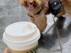 -星巴克(兰桂坊店)