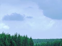 -塞罕坝国家级自然保护区