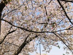 -石湖景区