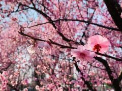 -白塘生态植物园