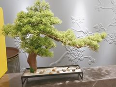 -华夏良子·足道SPA艾灸(铁道大厦店)