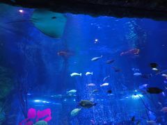 -沈阳海洋探索中心