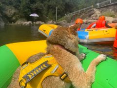 -安吉龙王山峡谷漂流