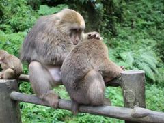 -天赐温泉