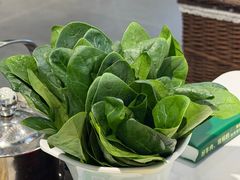 -葛记红焖羊肉(人民路店)