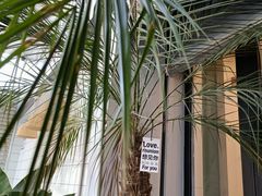 -春莱·老挝咖啡·泰式奶茶(钟楼店)