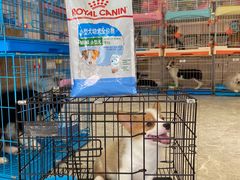 -宠爱我(南山店)