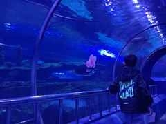 -秦皇岛新澳海底世界