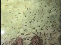 -春晖园度假酒店温泉