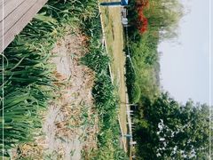 -白鹭湾湿地公园