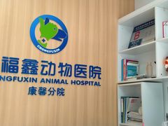 -宠福鑫康馨动物医院·骨科·眼科
