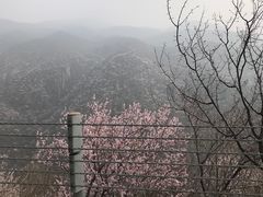 -妙峰山风景名胜区