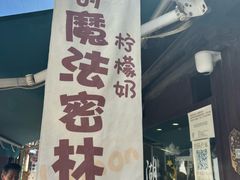 -猫的魔法密林(衣裳街店)