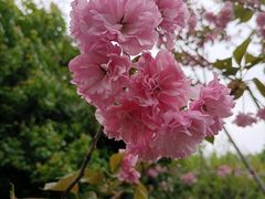 -洋湖国家湿地公园