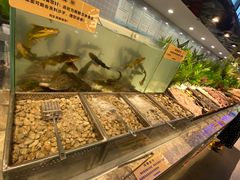 -金滏山烤肉·海鲜·火锅自助餐厅(襄阳万达店)