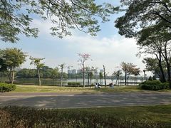 -顺峰山公园
