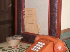 -樹下遇见树·咖啡