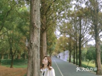 良渚遗址公园，南怡岛＋小奈良＋伯朗大道的综合体