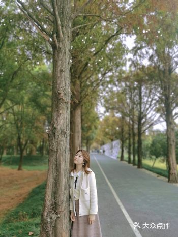良渚遗址公园，南怡岛＋小奈良＋伯朗大道的综合体