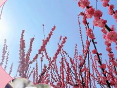 -静安雕塑公园