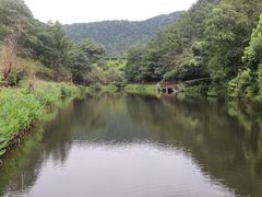 -桃花岭景区
