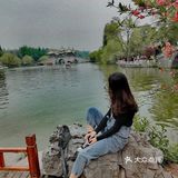 扬州这副画好美，自然之美展现华夏民族魅力！🌿🍀