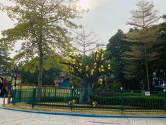 -史努比缤纷世界