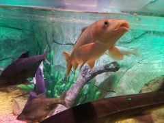 -沈阳海洋探索中心