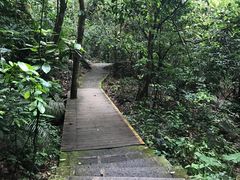 -七仙岭温泉国家森林公园
