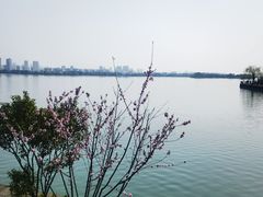 -无锡蠡湖国家湿地公园-蠡园