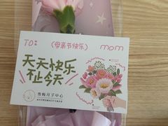 -雪梅月子中心(华侨城店)