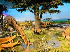 -国家自然博物馆