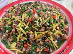 -东吴霸王兔(松青路店)
